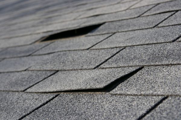 Shingle Replacement Service in West Hartford