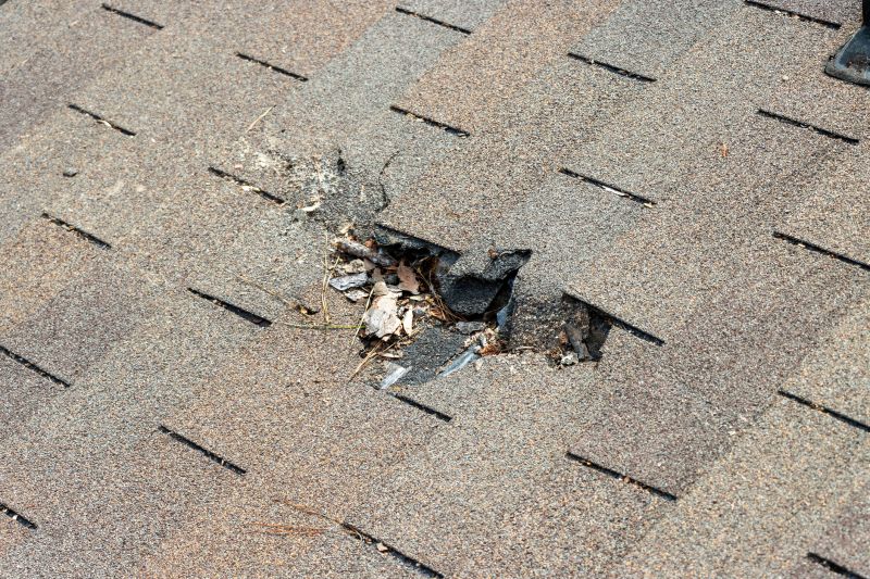 What To Expect During A Professional Asphalt Shingle Roof Repair